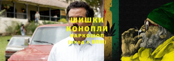 стаф Кулебаки
