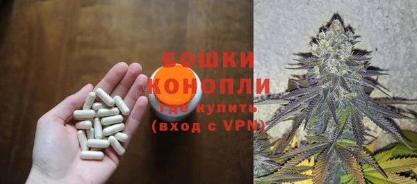 сатива Кукмор