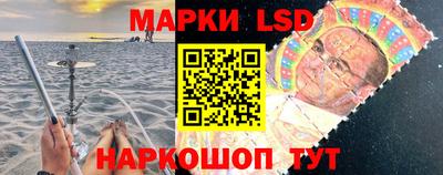 стафф Донской