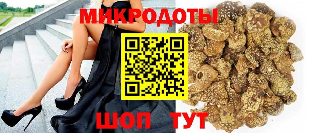 Псилоцибиновые грибы Psilocybe Людиново
