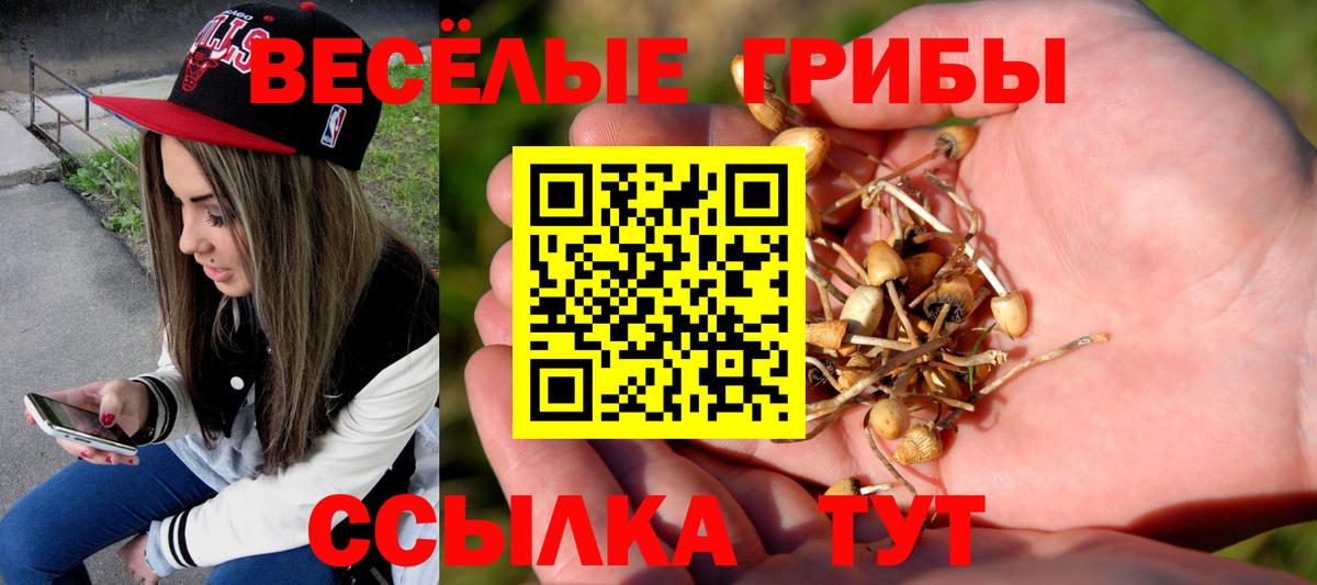Людиново  Галлюциногенные грибы Magic Shrooms  наркотики  Вход с VPN 